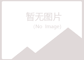 平昌县白山冶炼有限公司